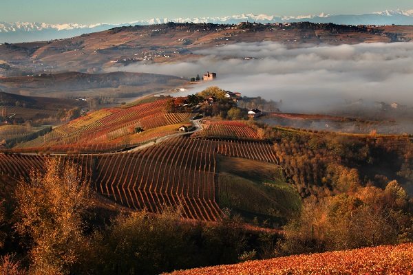 Barolo and truffles outdoor experience truffle hunters association