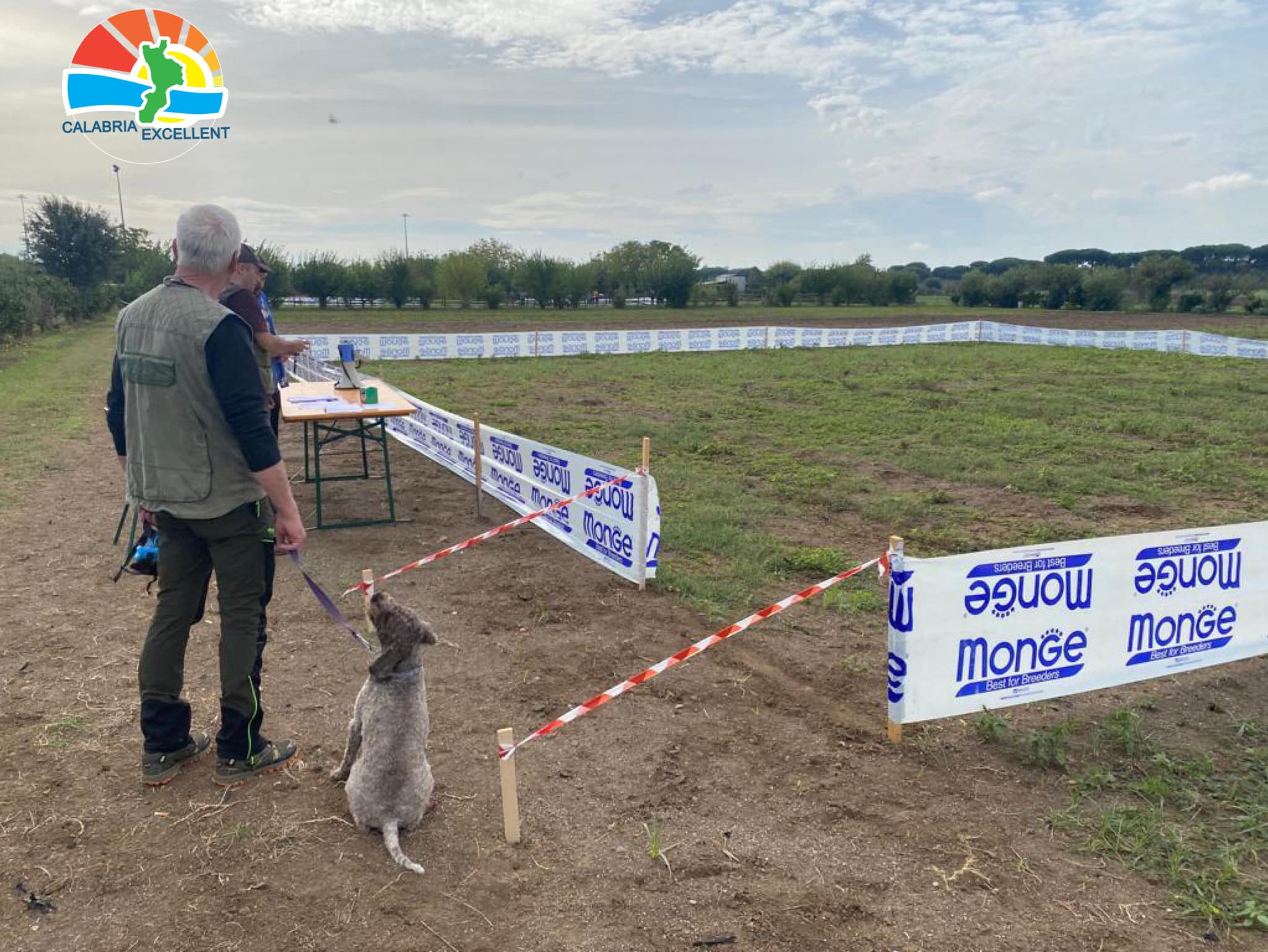 Gara di ricerca del tartufo su ring