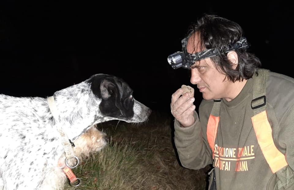 Truffle hunting night experience