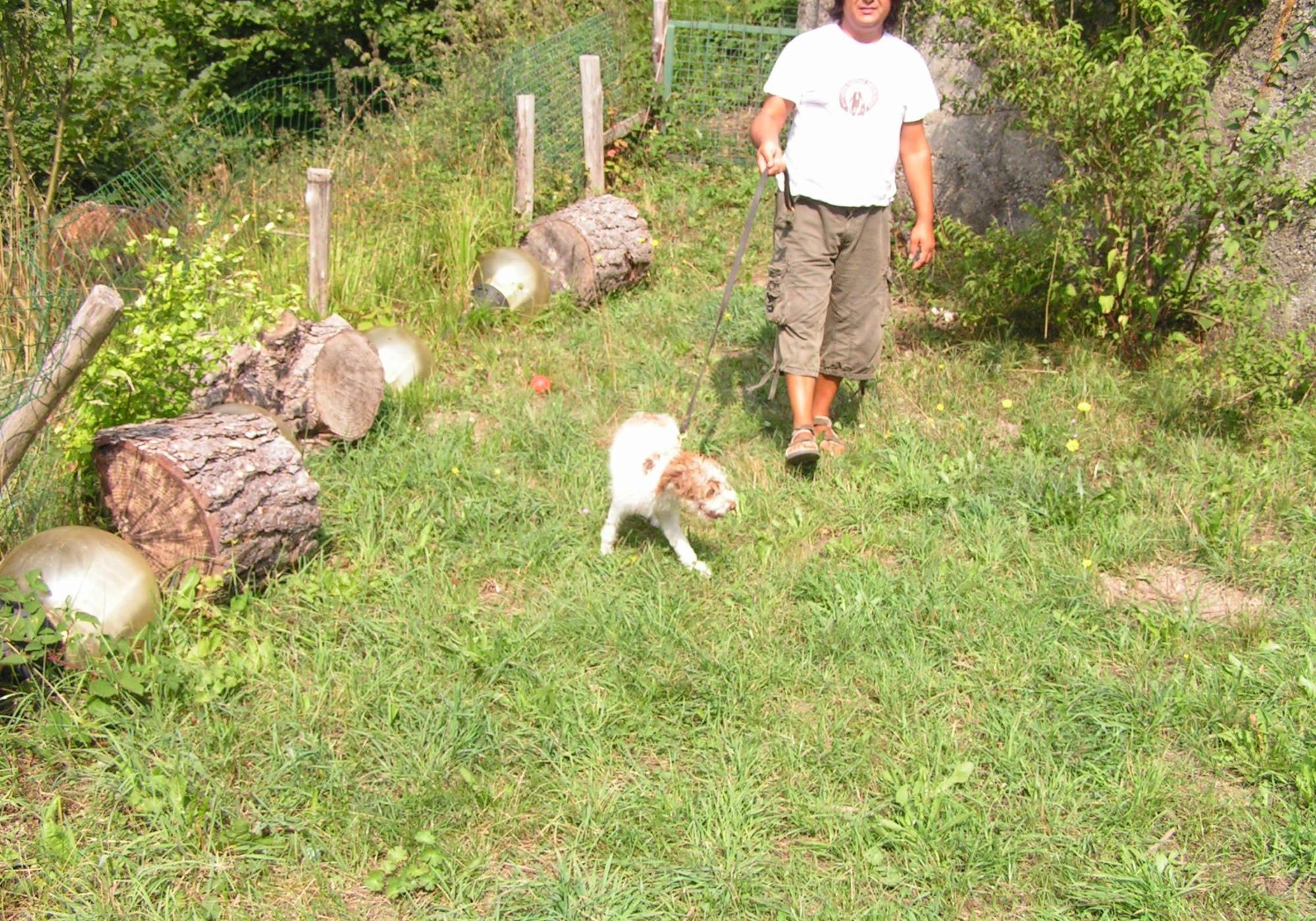 Addestrare cane da tartufo