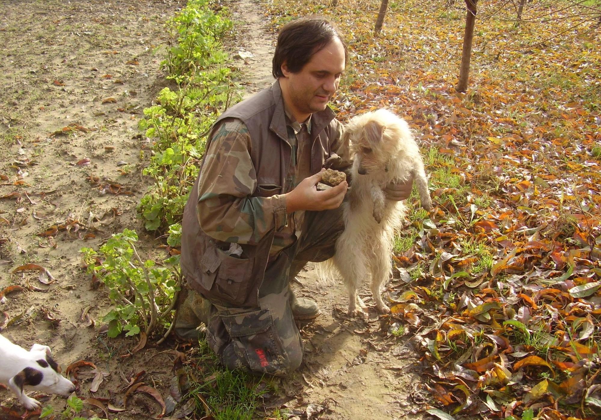 Scegliere cane da tartufo