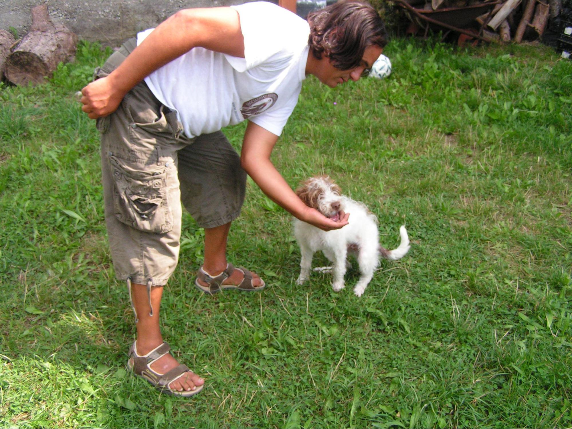 Addestramento Cane da tartufo 