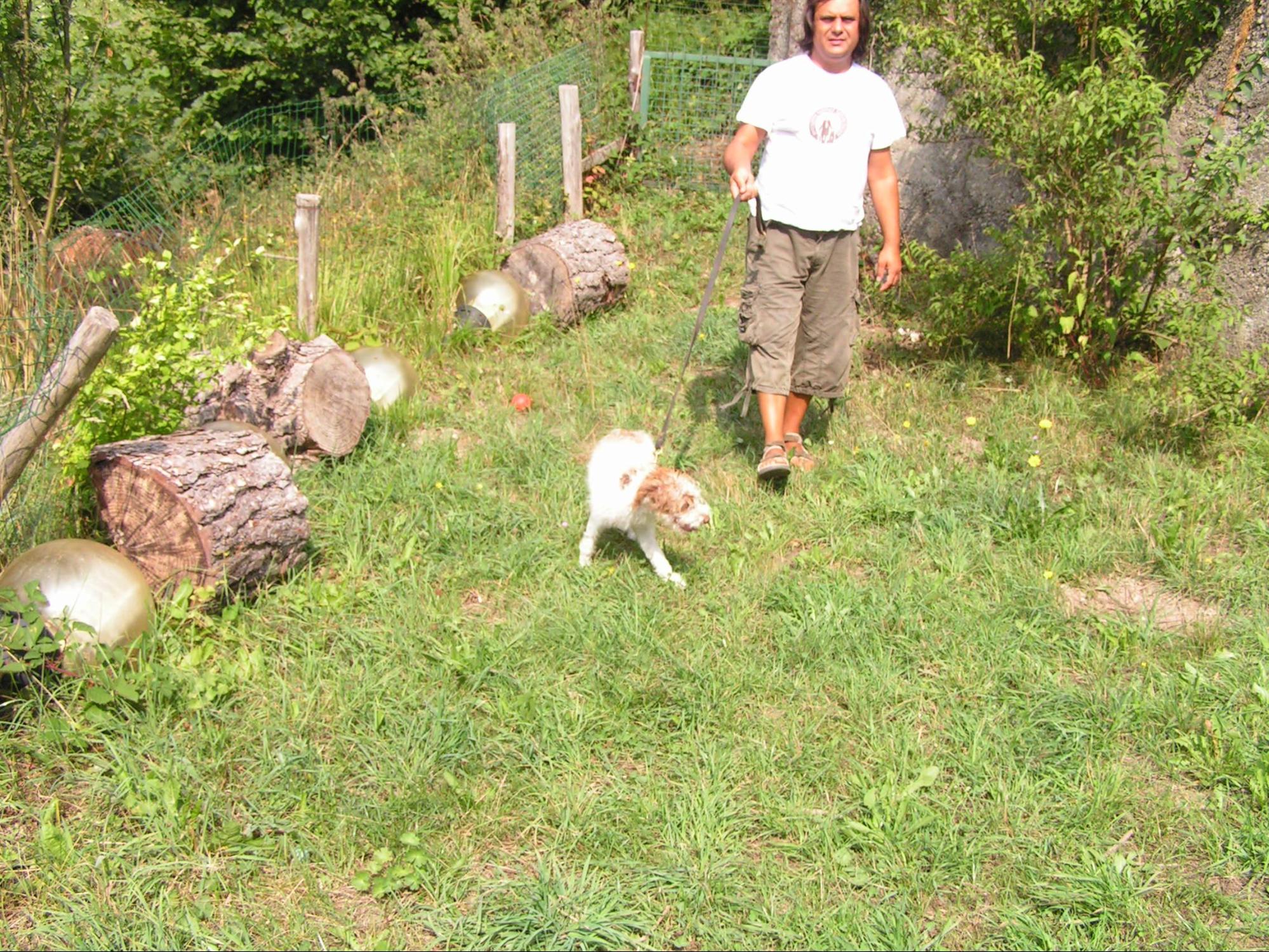 Addestrare cane da tartufo