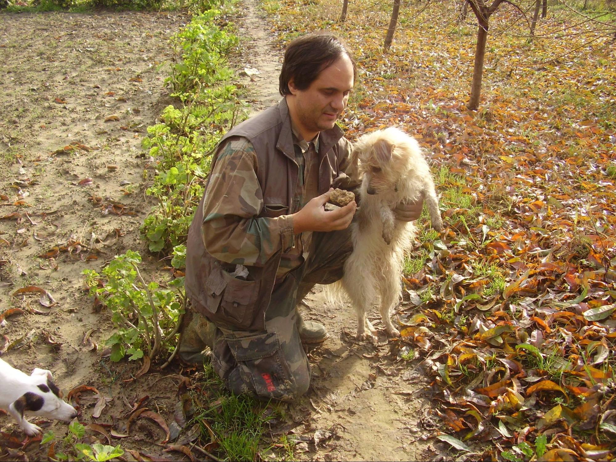 Scegliere cane da tartufo